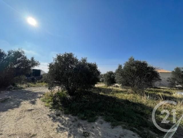 terrain à vendre - 1600.0 m2 - BEAUCAIRE - 30 - LANGUEDOC-ROUSSILLON - Century 21 Arelate Immo