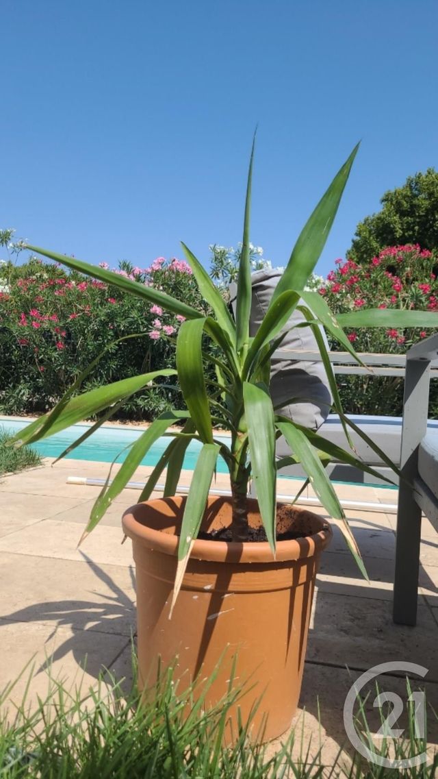 maison à vendre - 5 pièces - 95.0 m2 - RAPHELE LES ARLES - 13 - PROVENCE-ALPES-COTE-D-AZUR - Century 21 Arelate Immo